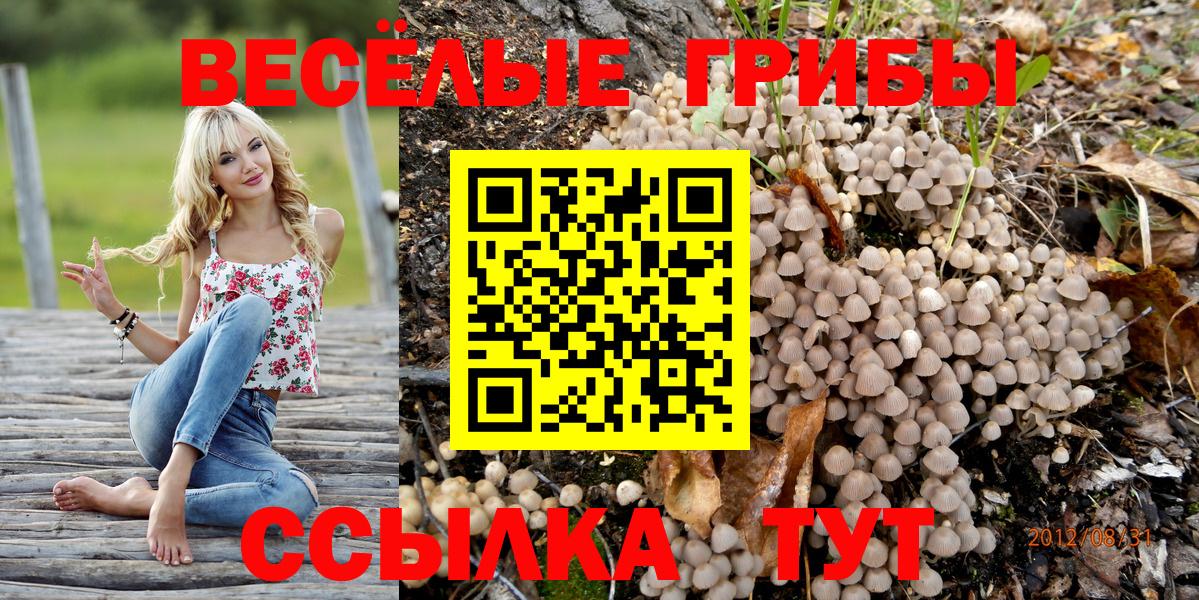Псилоцибиновые грибы ЛСД Фролово